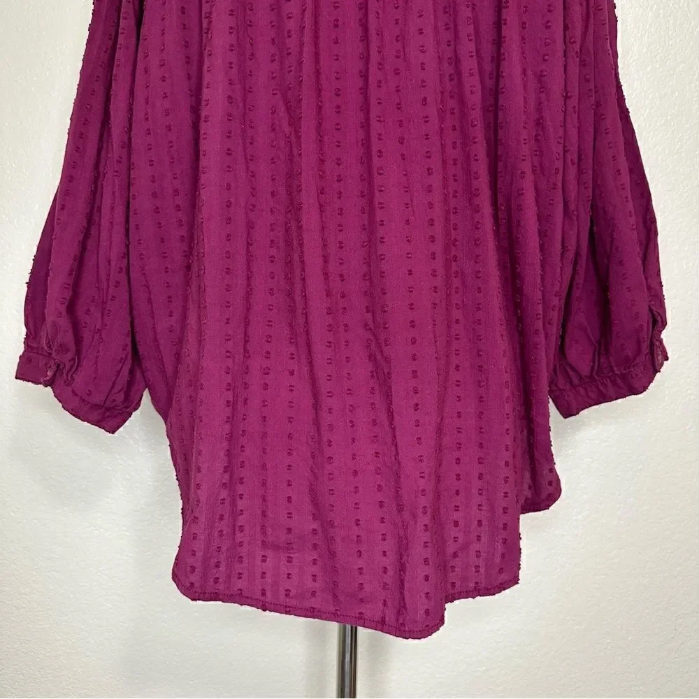 Anthropologie Pilcro Tavi Boho Embroidered Button Down Top